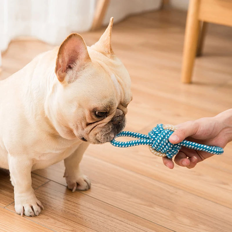 Cotton Rope Mini Dog Chew Toys