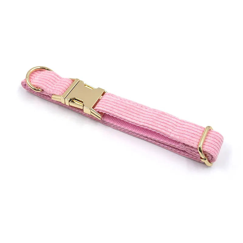 Fashion Corduroy Dog Collar w/ Gold Metal Buckle