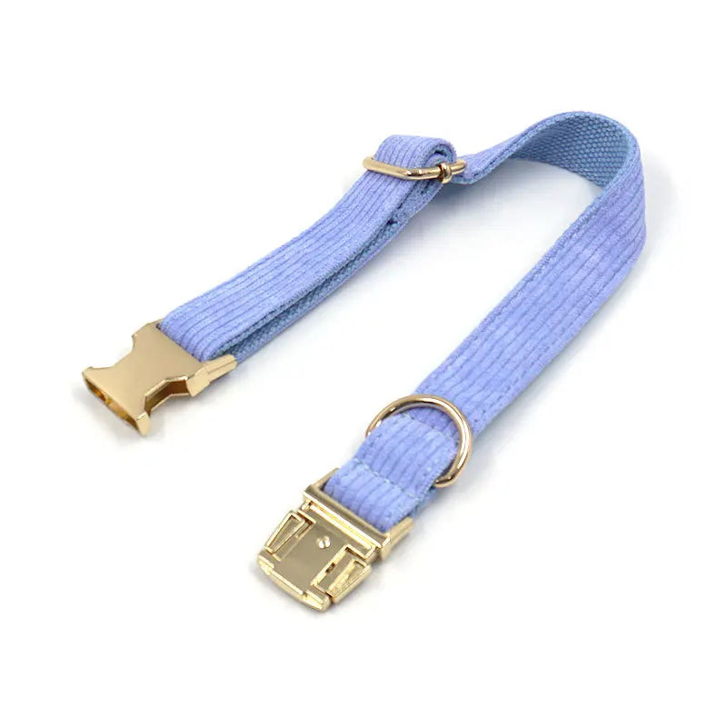 Fashion Corduroy Dog Collar w/ Gold Metal Buckle