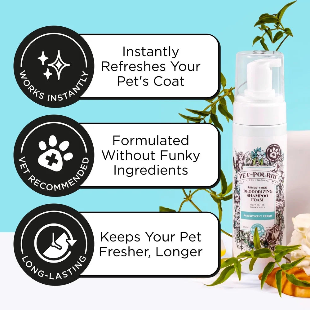 Deodorizing Waterless No-Rinse Dog Foam Shampoo