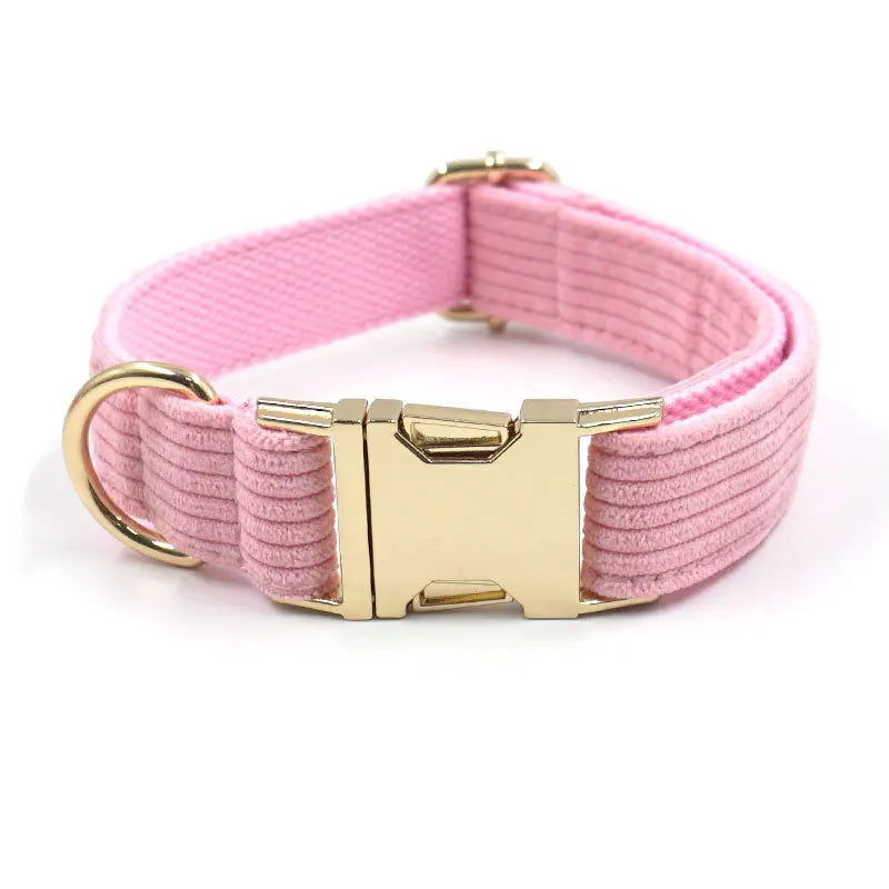 Fashion Corduroy Dog Collar w/ Gold Metal Buckle