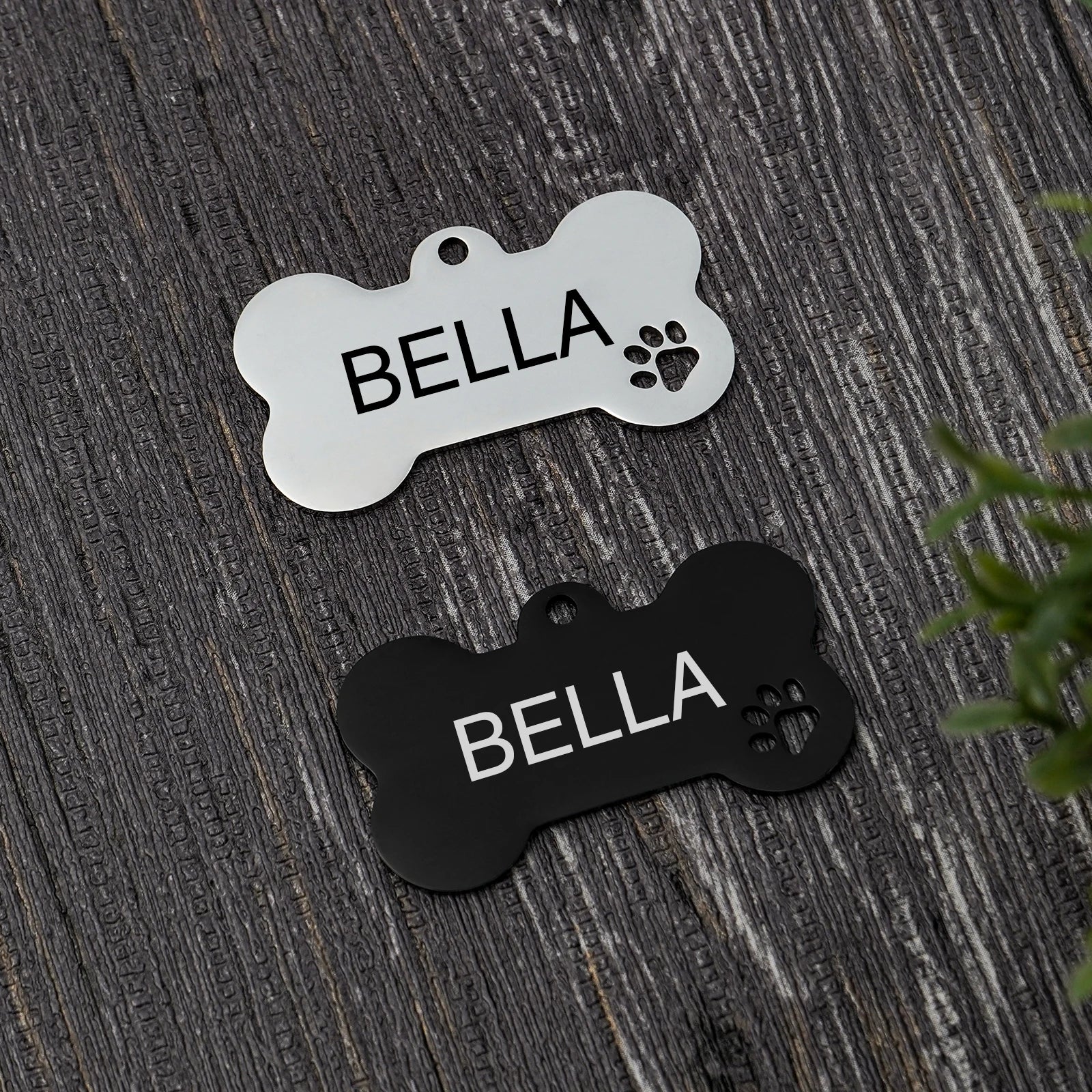 Stainless Steel Personalized Dog ID Tag