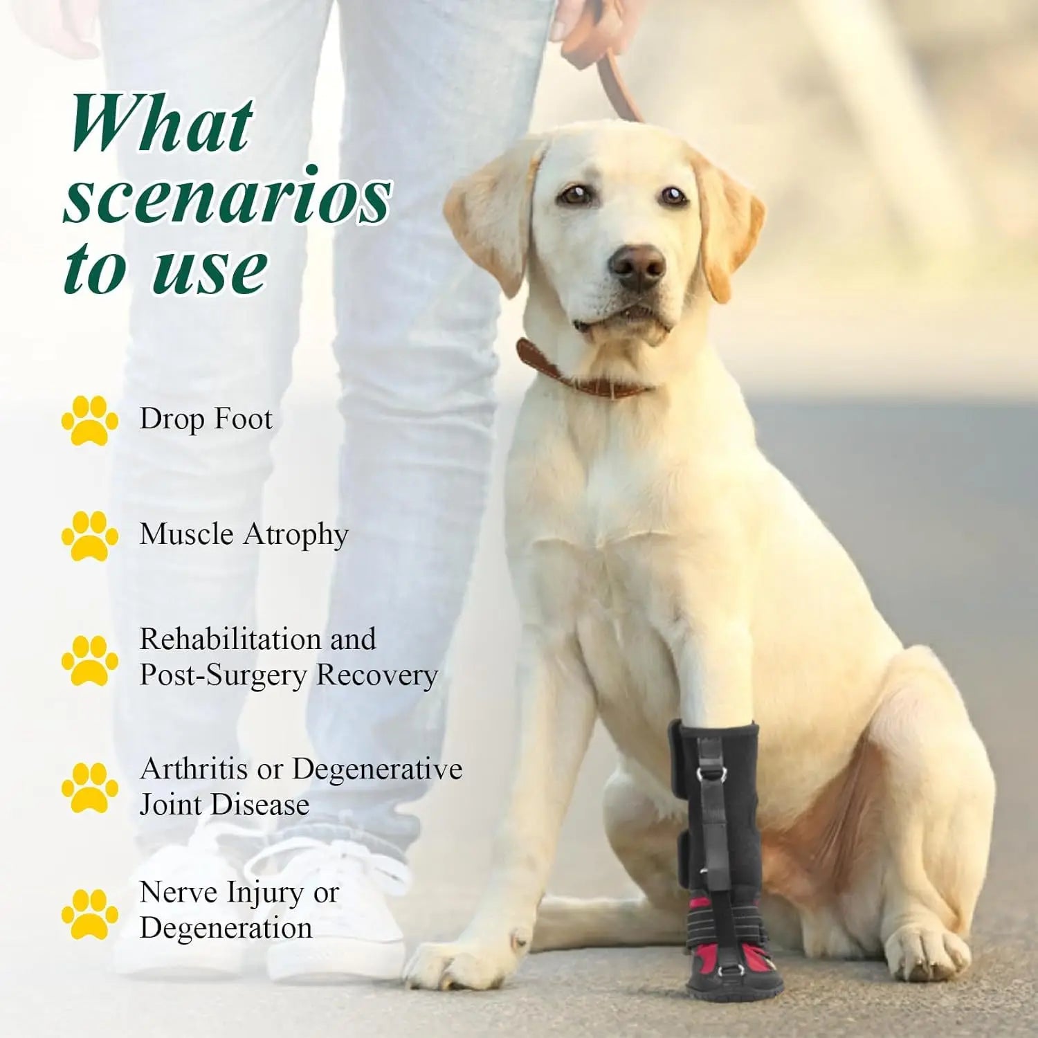 Non-Skid No Knuckling Dog Boot Brace