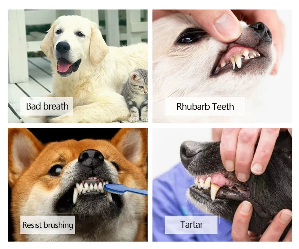 Three-Head Multi-Angle Pet Toothbrush
