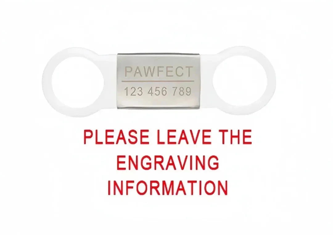 Custom Laser Engraved Pet ID Collar Charm